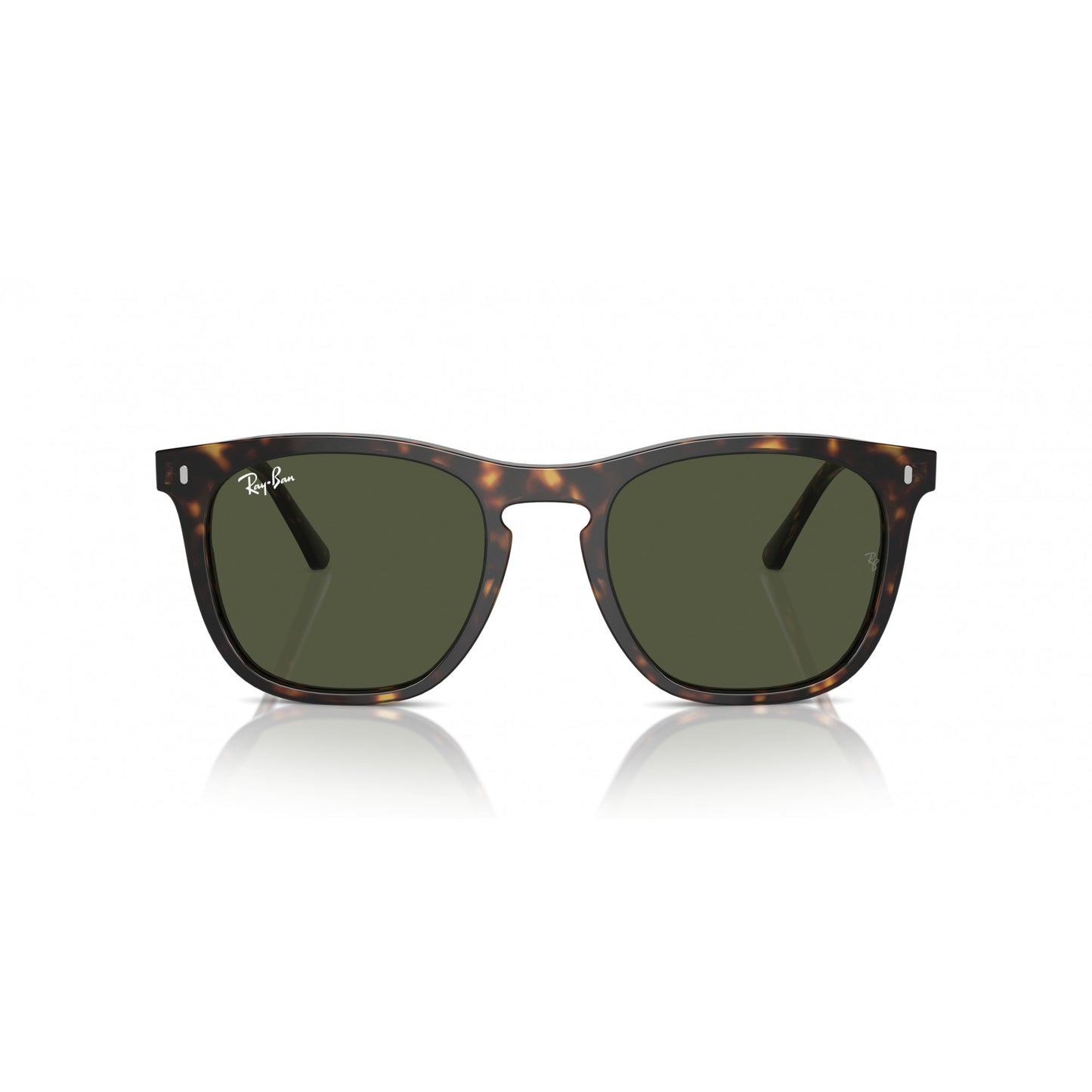 Ray-Ban 0RB2210