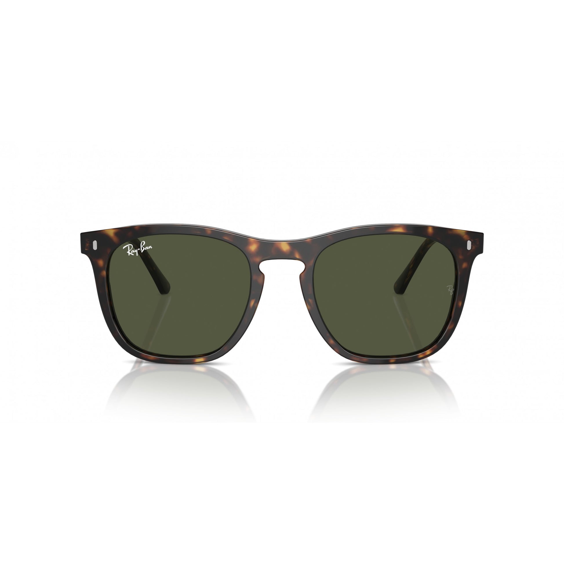 Ray-Ban 0RB2210