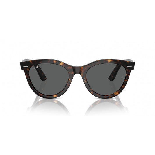 Ray-Ban 0RB2241