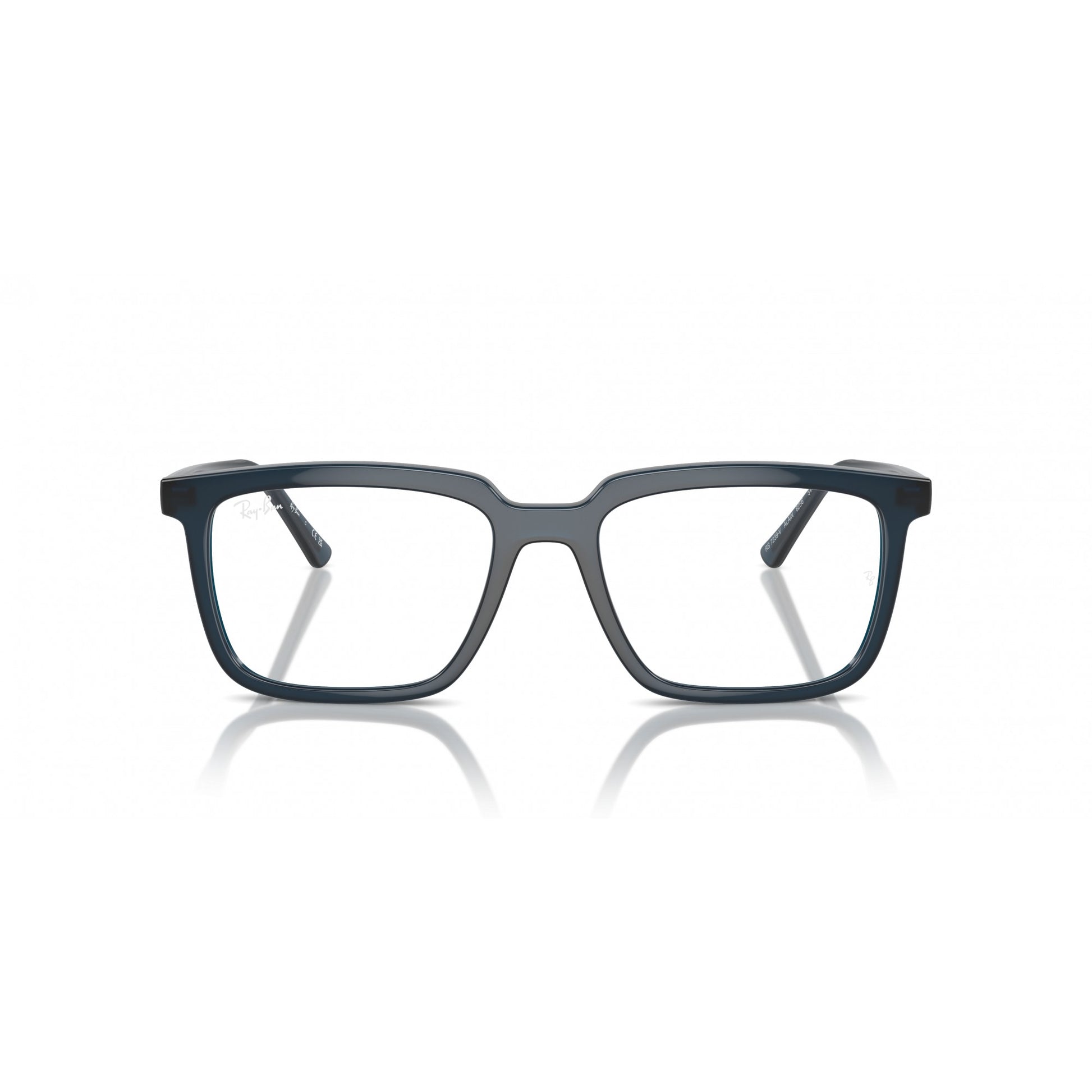 Ray-Ban 0RX7239