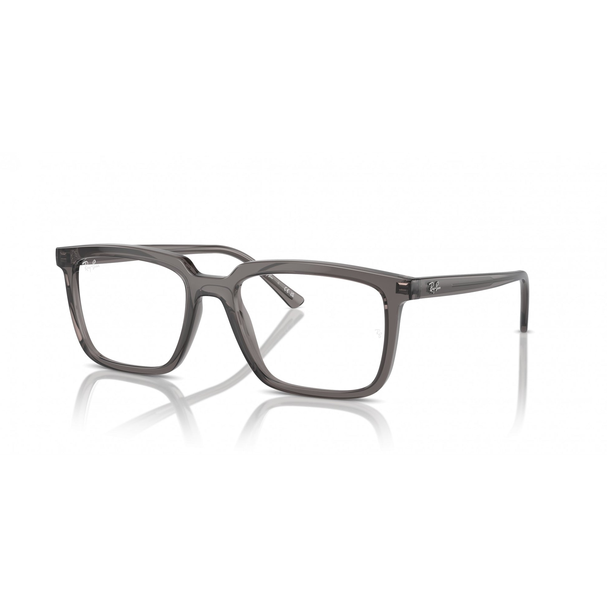 Ray-Ban 0RX7239