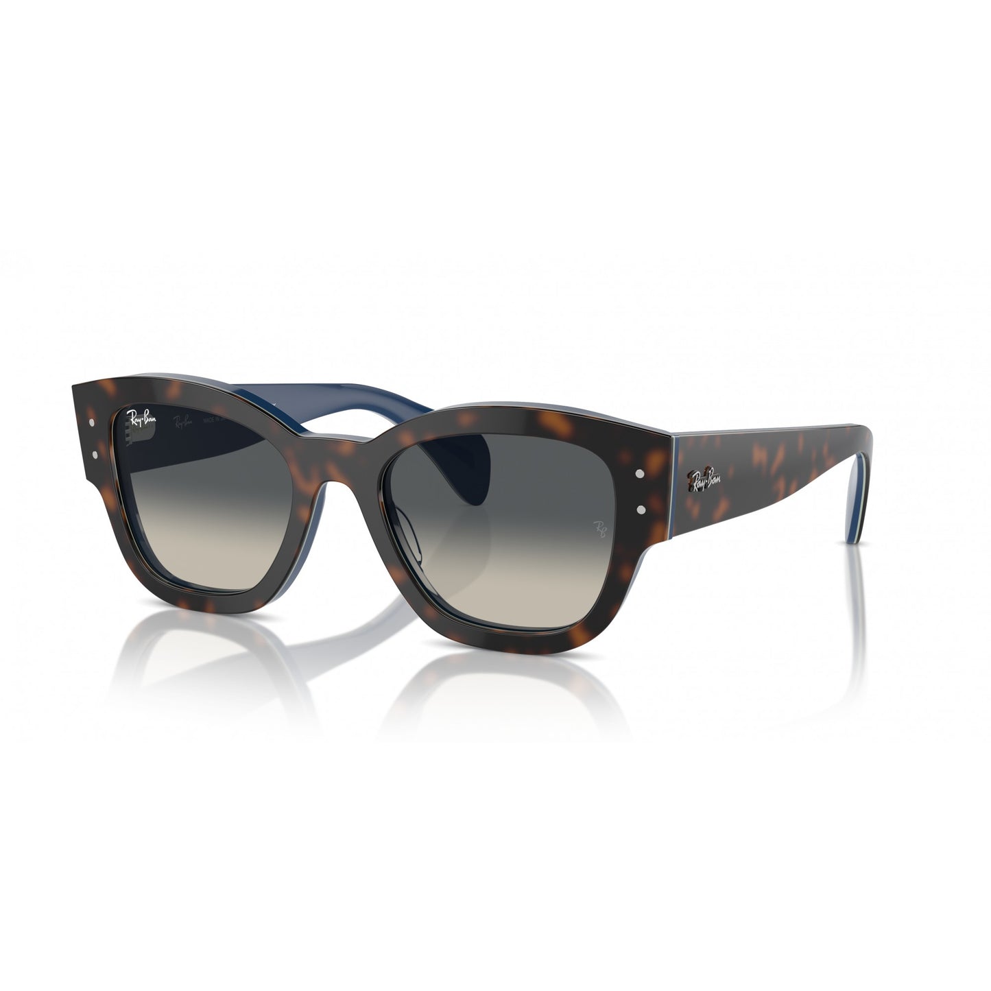 Ray-Ban 0RB7681S