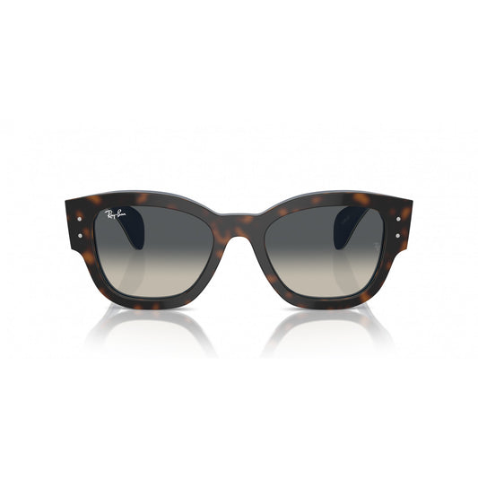 Ray-Ban 0RB7681S