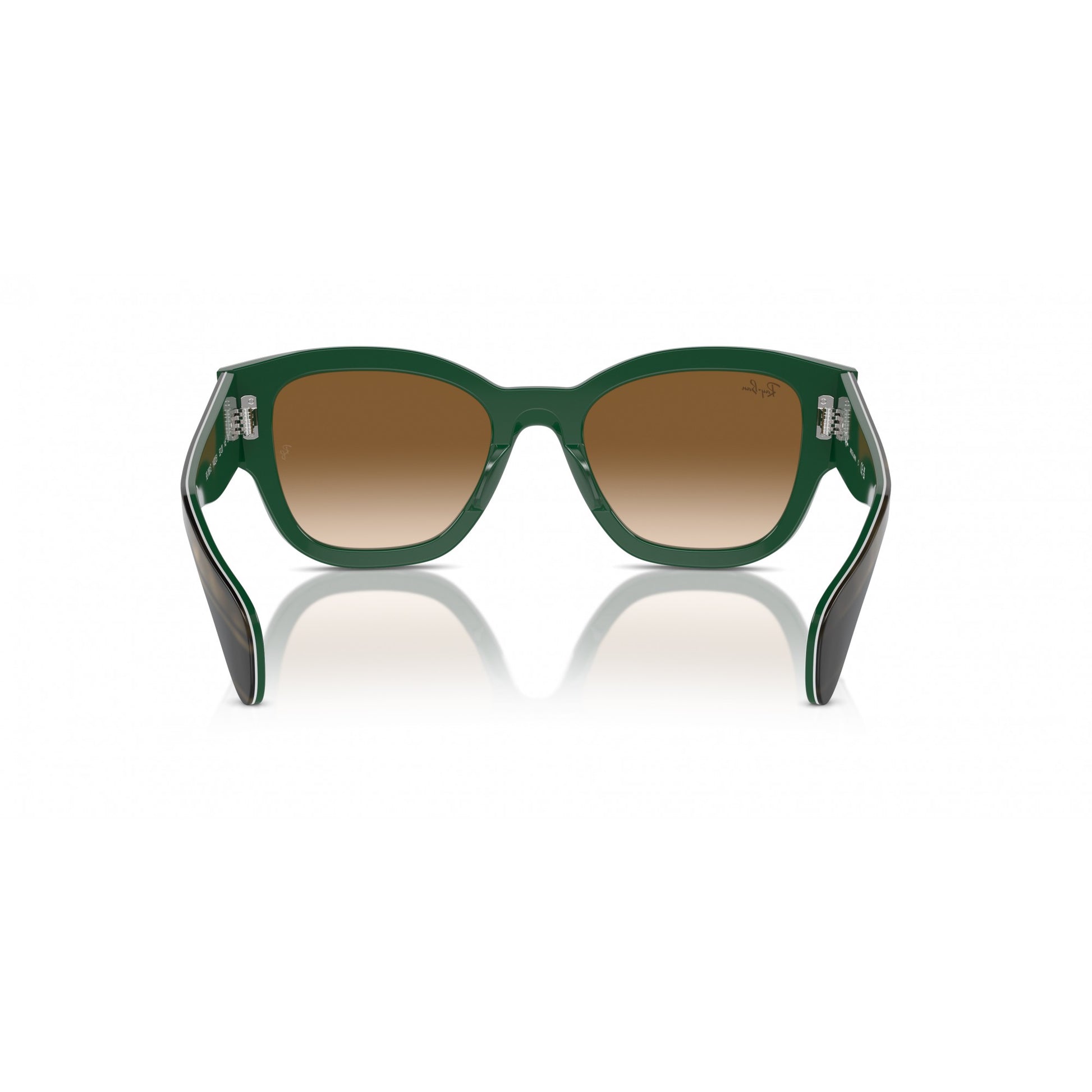 Ray-Ban 0RB7681S