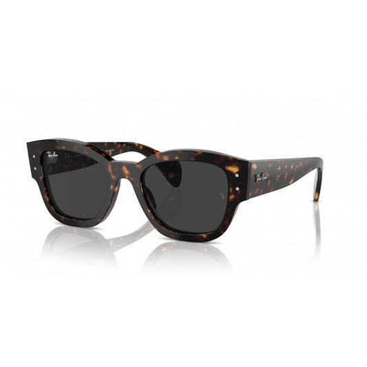 Ray-Ban 0RB7681S