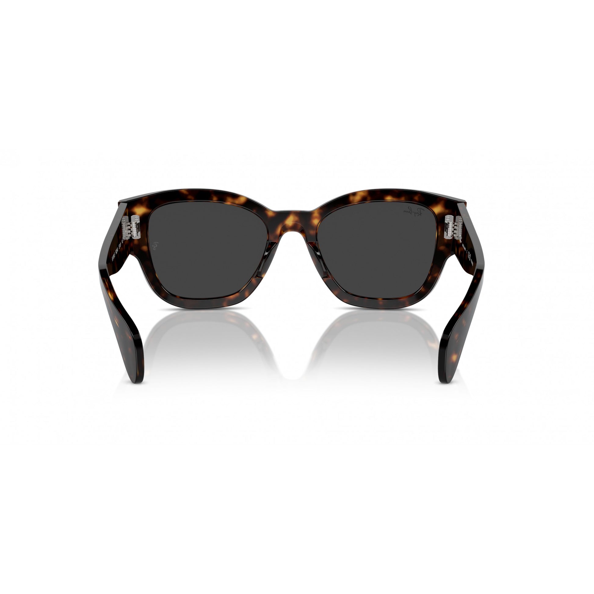 Ray-Ban 0RB7681S