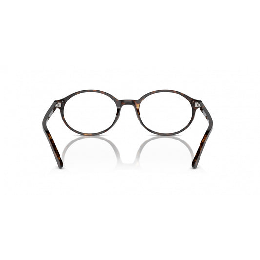 Ray-Ban 0RX5429