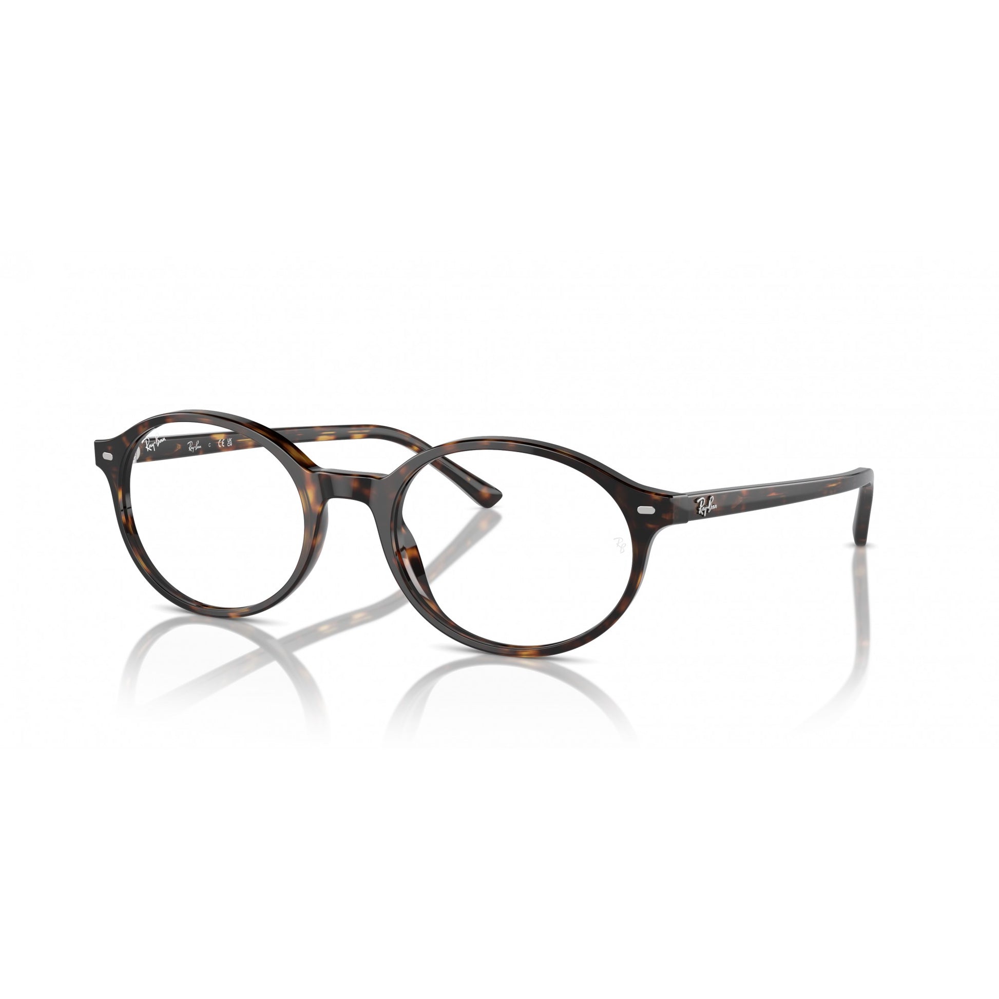 Ray-Ban 0RX5429
