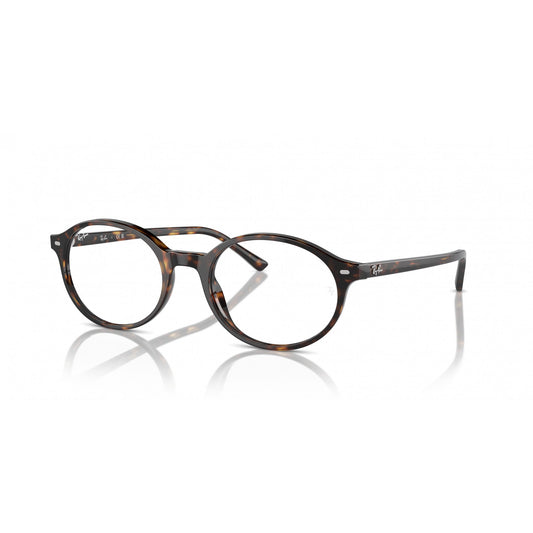 Ray-Ban 0RX5429