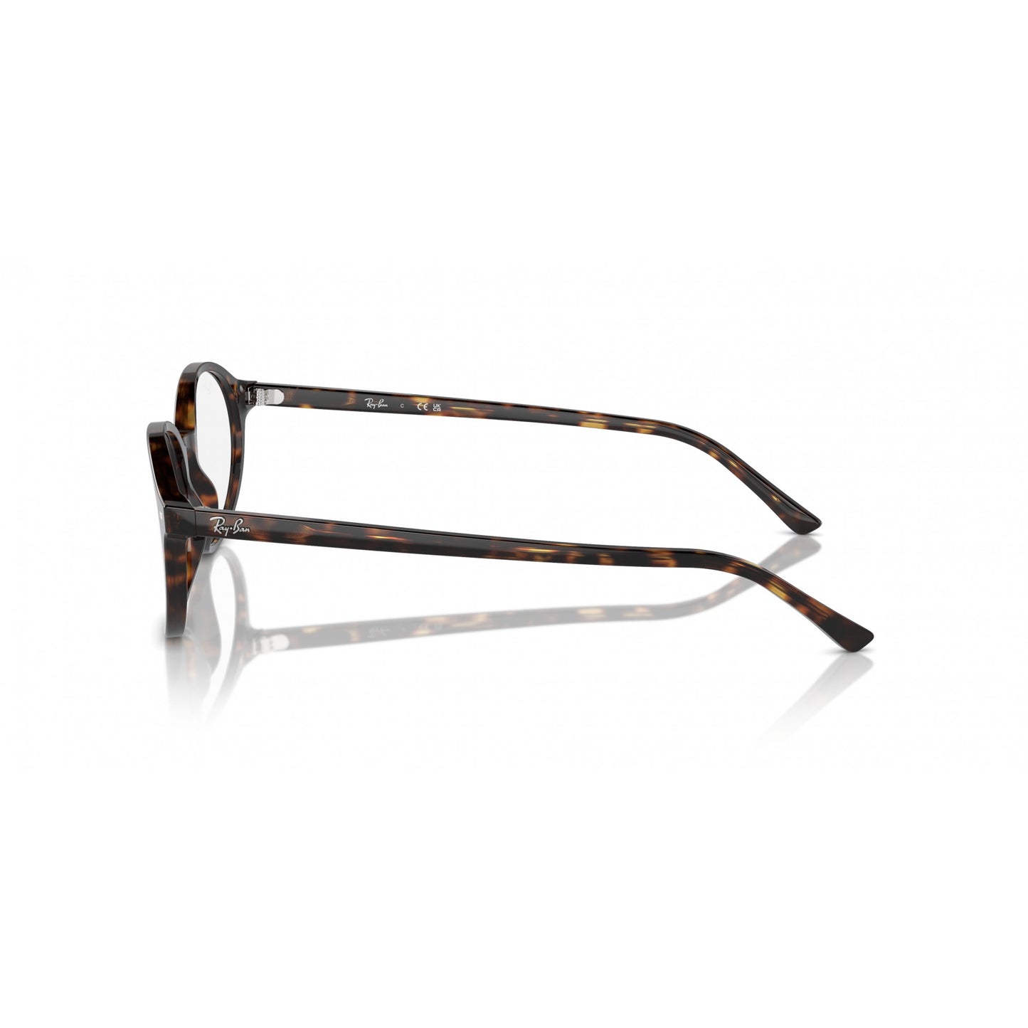 Ray-Ban 0RX5429