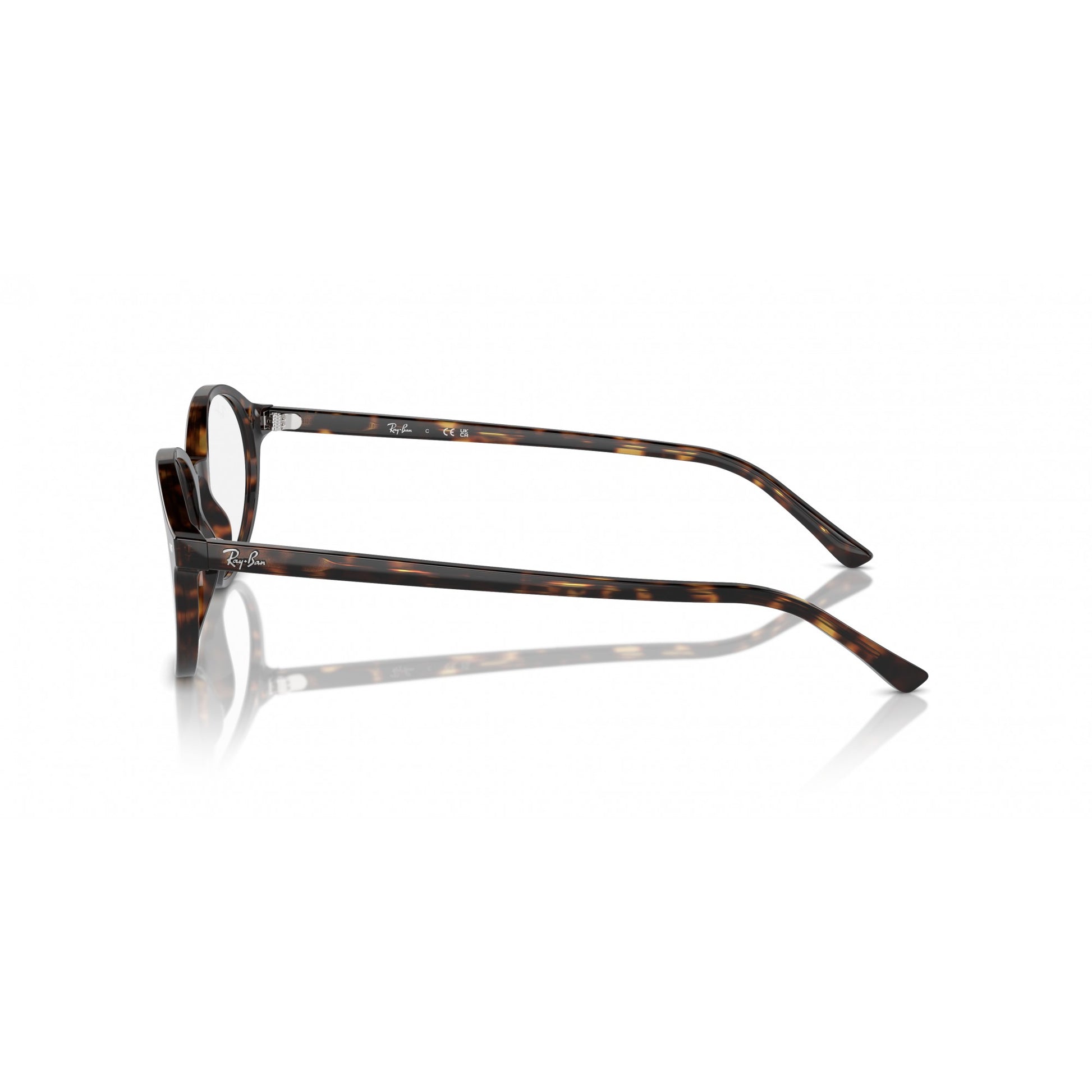 Ray-Ban 0RX5429