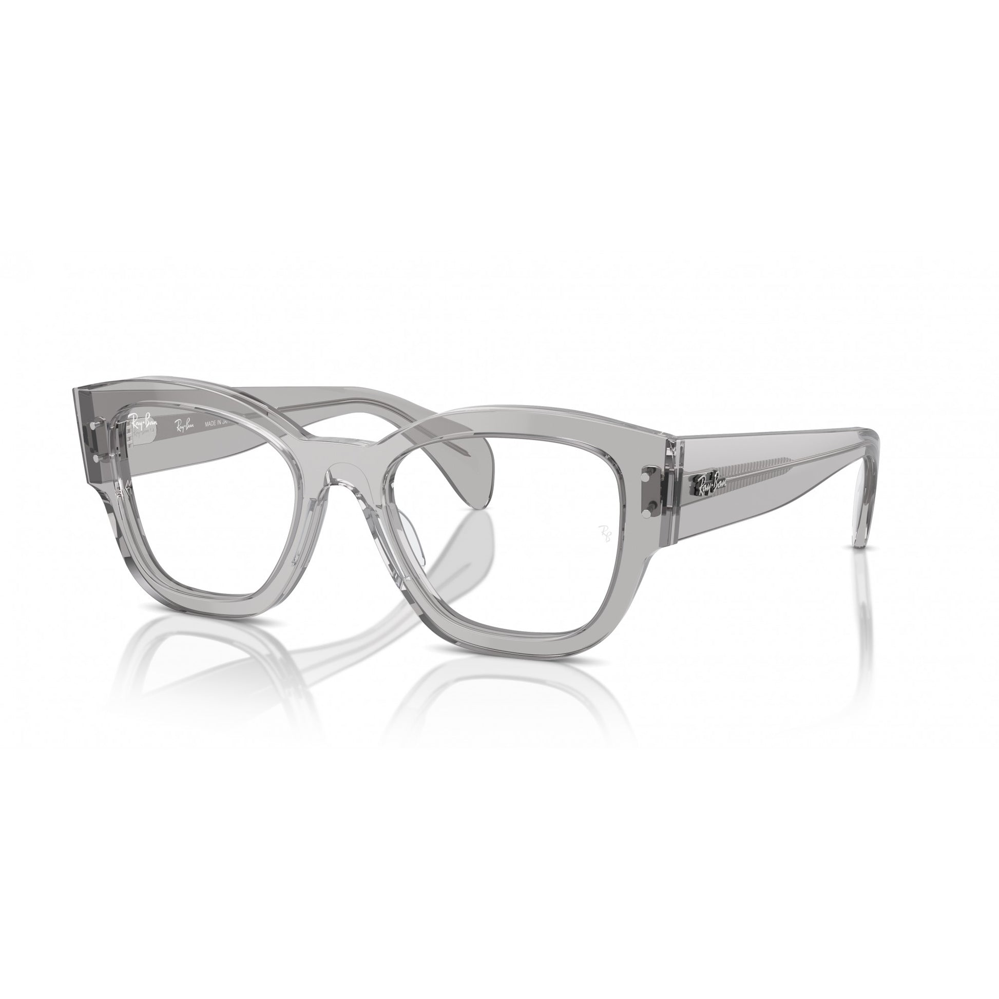 Ray-Ban 0RX7681V