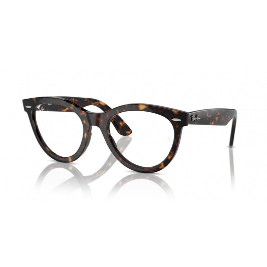 Ray-Ban 0RX2241V