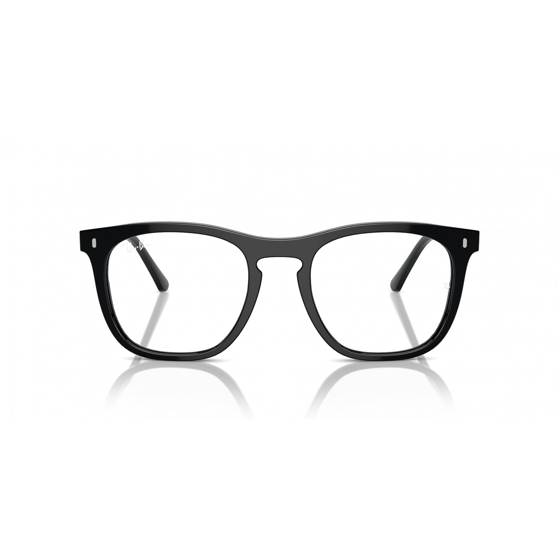 Ray-Ban 0RX2210V