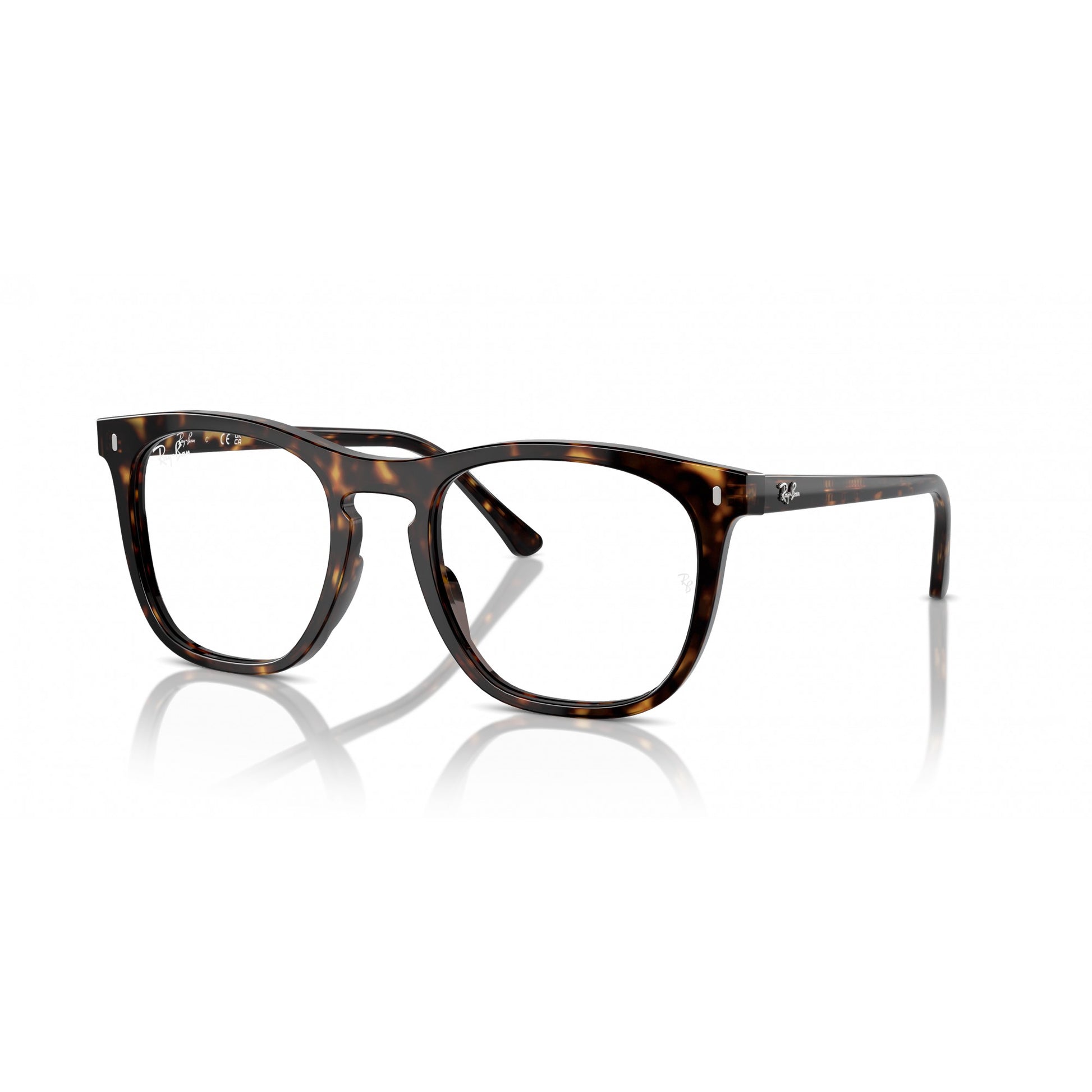 Ray-Ban 0RX2210V