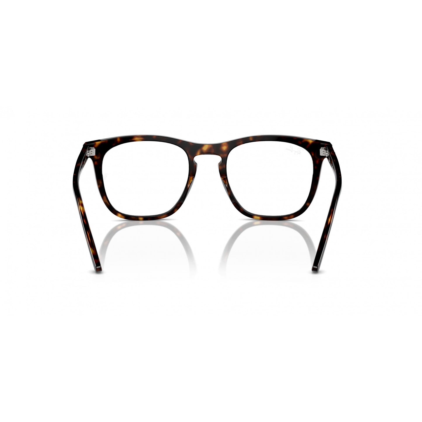 Ray-Ban 0RX2210V