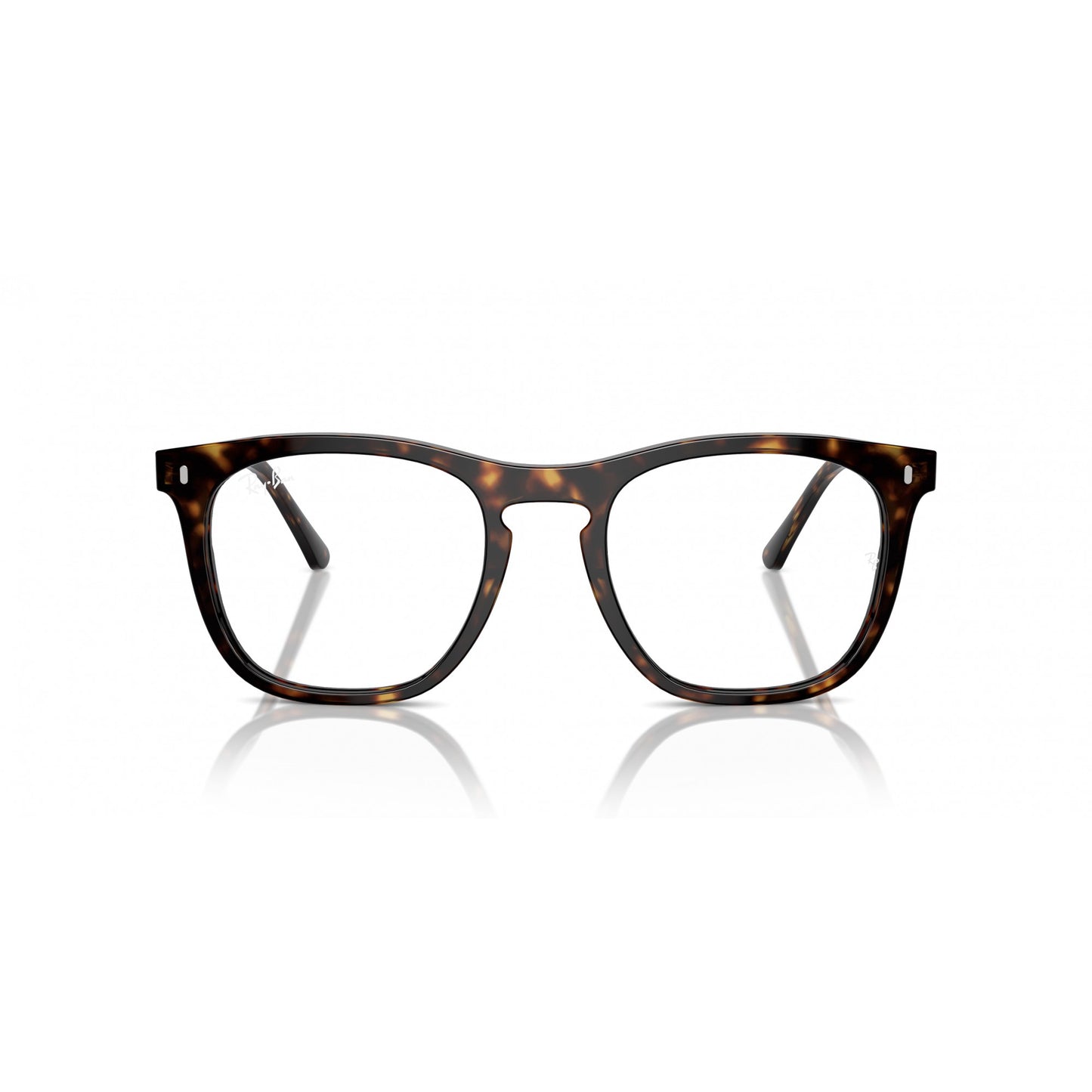 Ray-Ban 0RX2210V