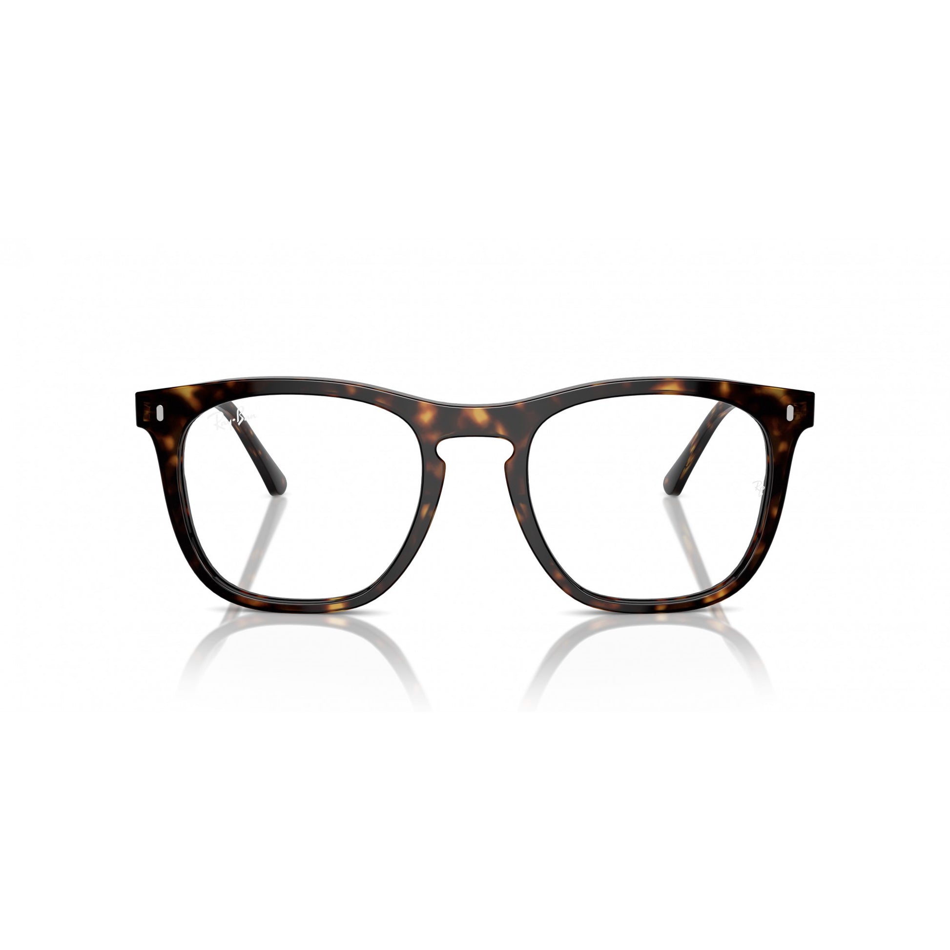 Ray-Ban 0RX2210V