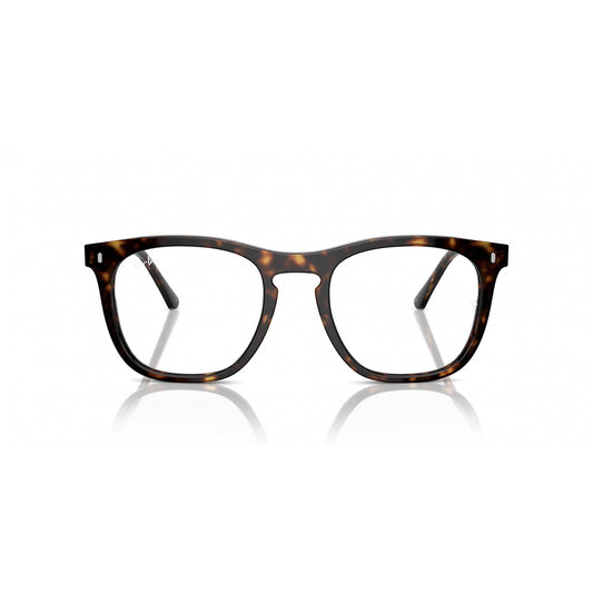 Ray-Ban 0RX2210V