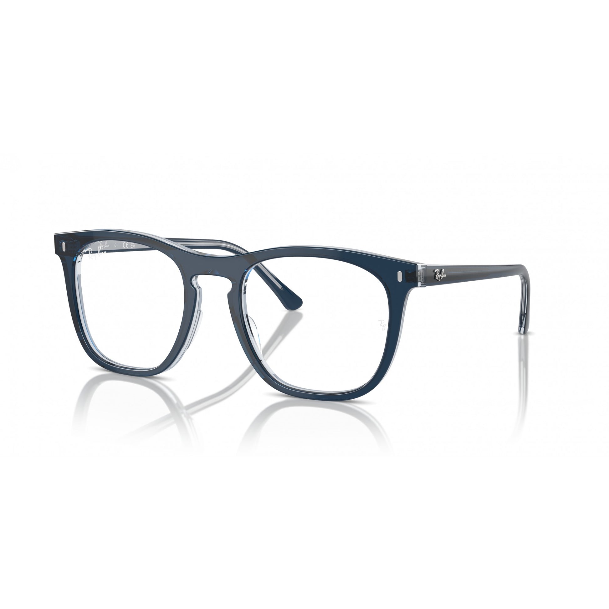 Ray-Ban 0RX2210V