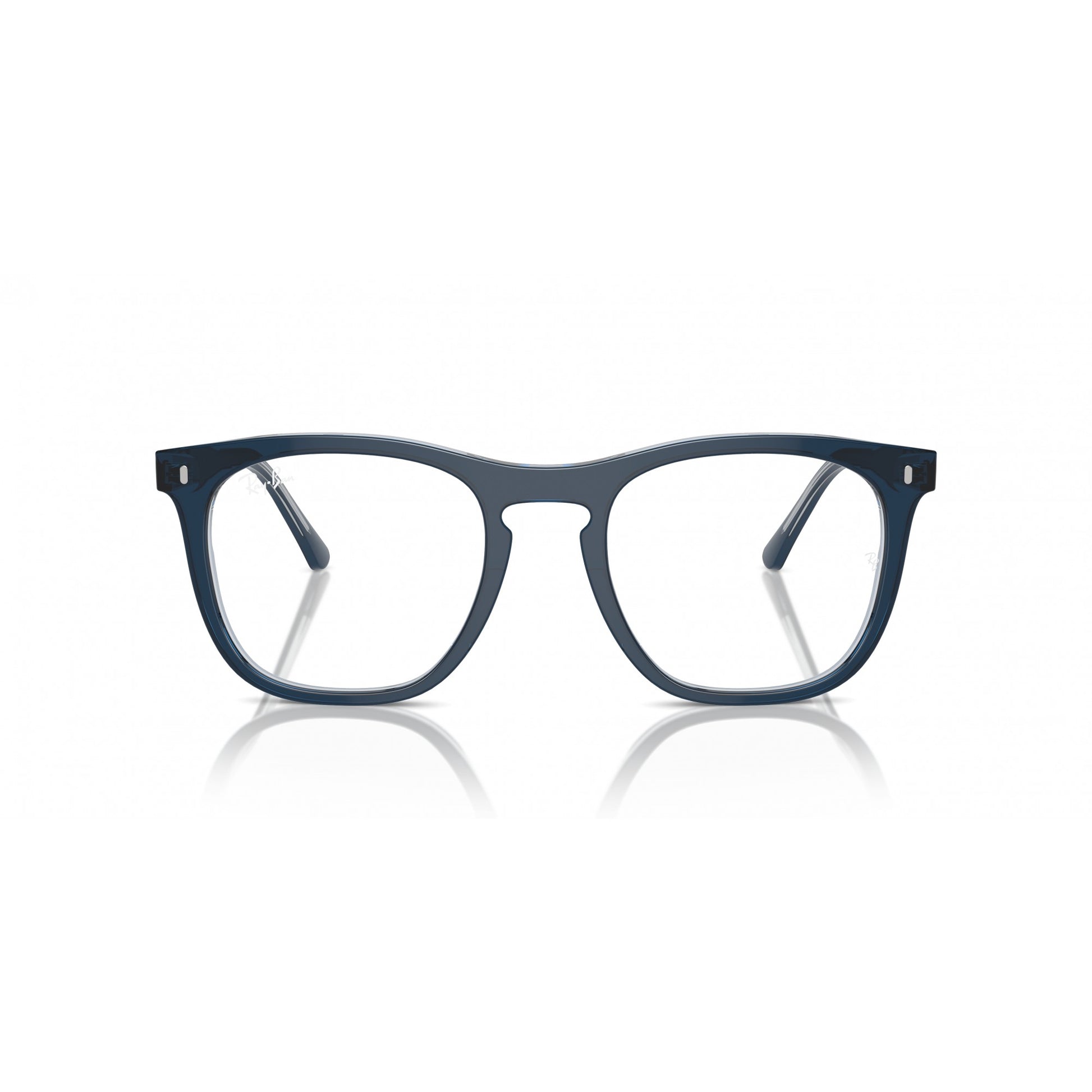 Ray-Ban 0RX2210V