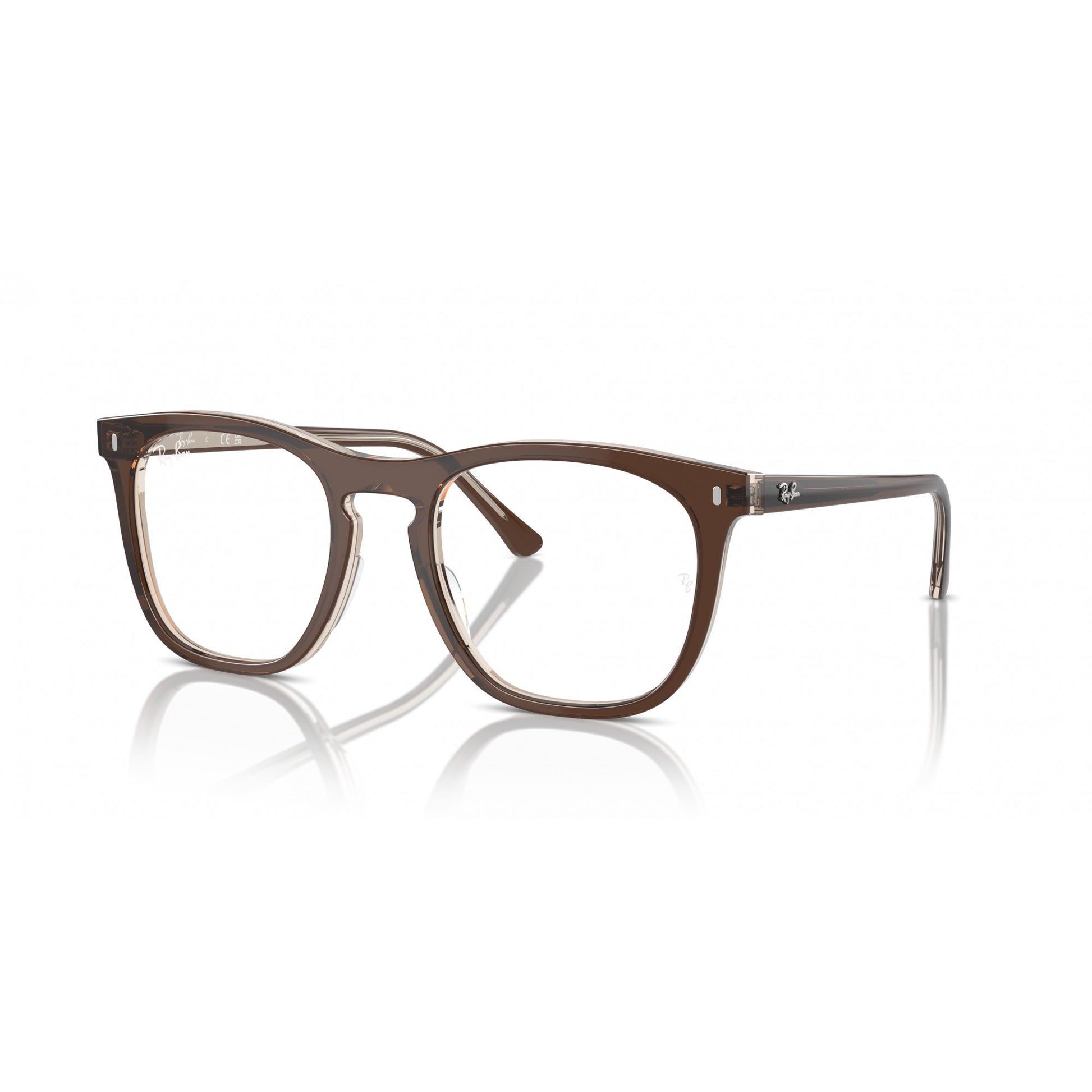Ray-Ban 0RX2210V