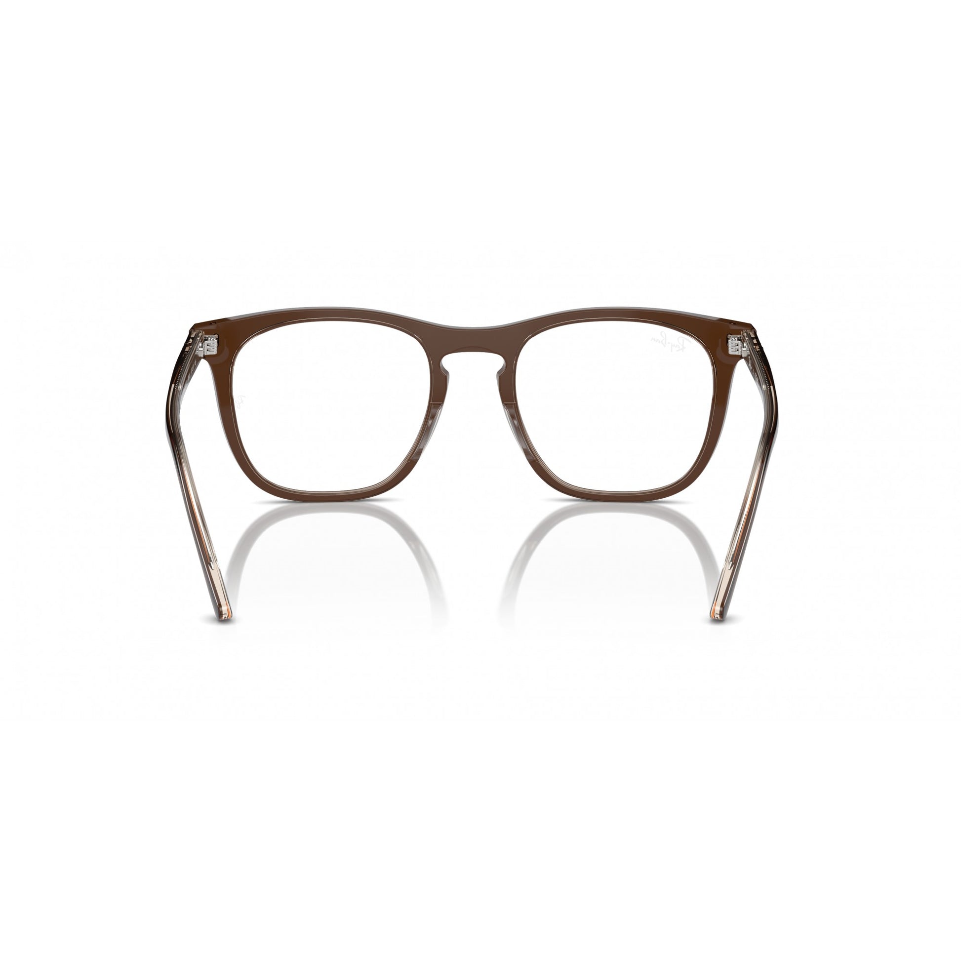 Ray-Ban 0RX2210V