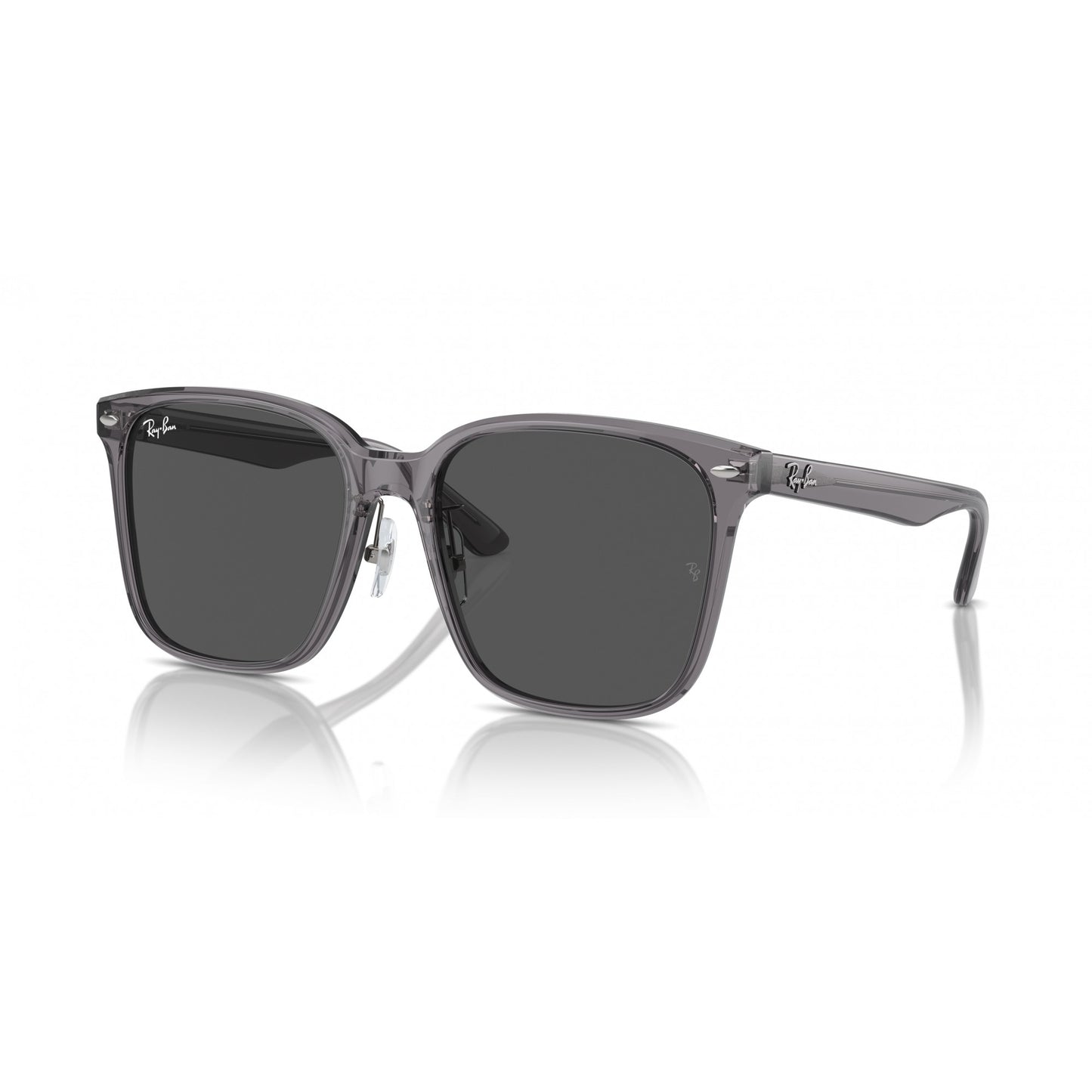 Ray-Ban 0RB2206D