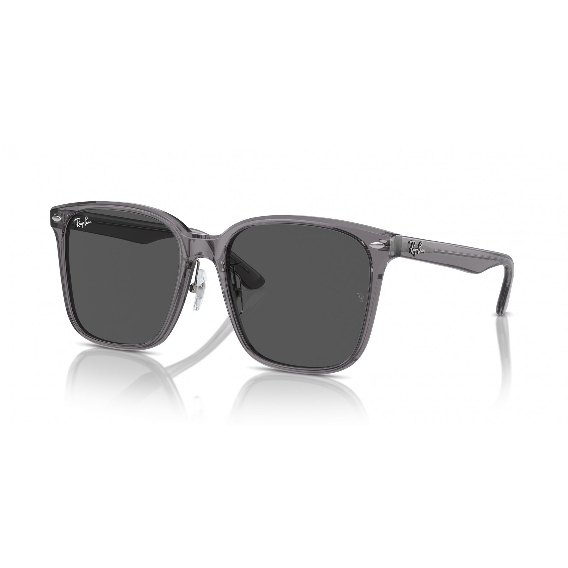 Ray-Ban 0RB2206D