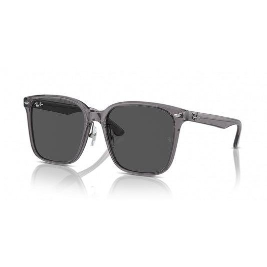 Ray-Ban 0RB2206D