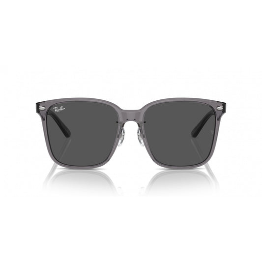Ray-Ban 0RB2206D