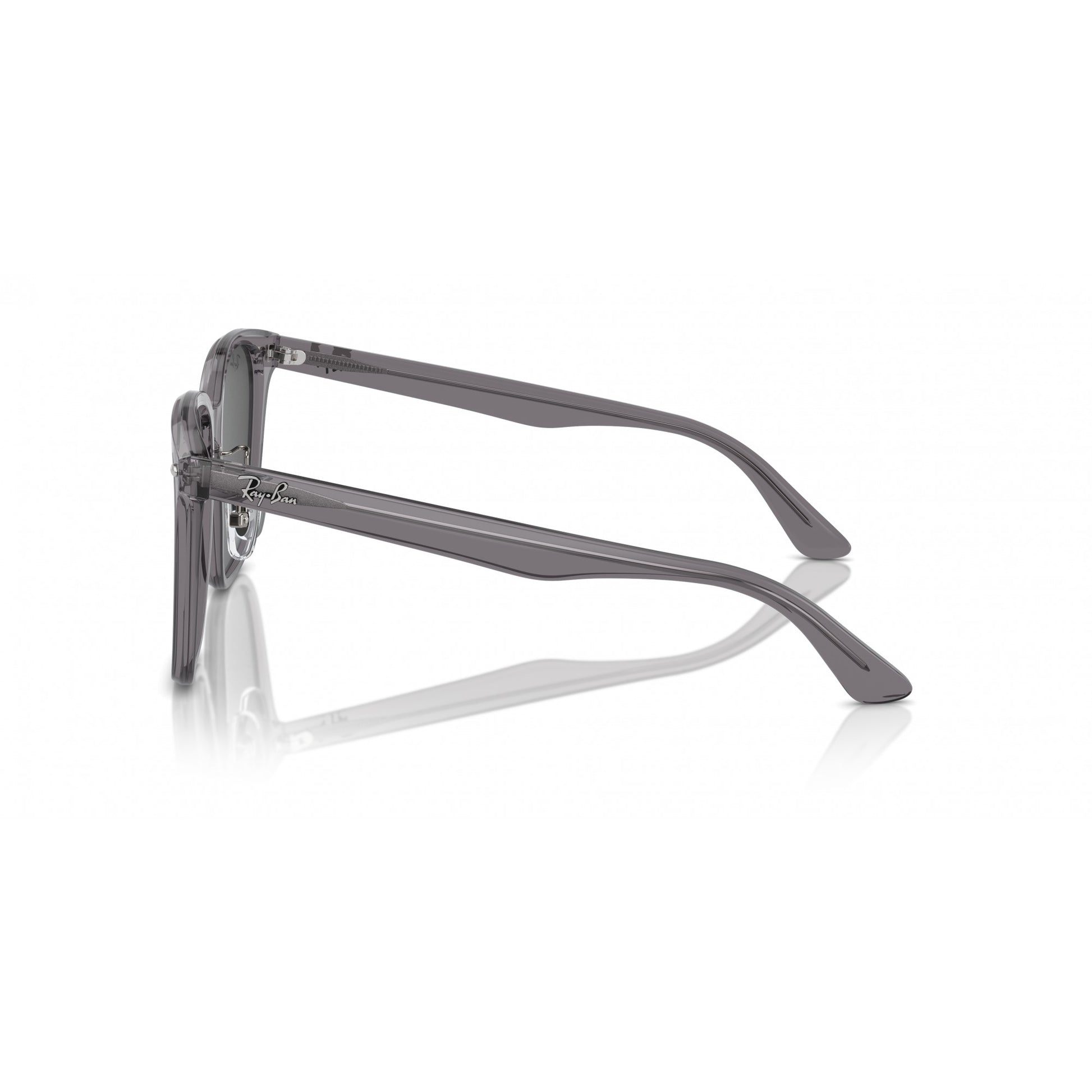 Ray-Ban 0RB2206D