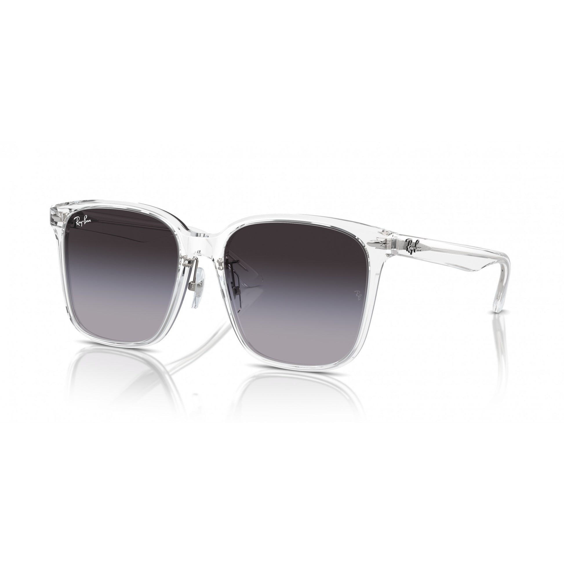 Ray-Ban 0RB2206D