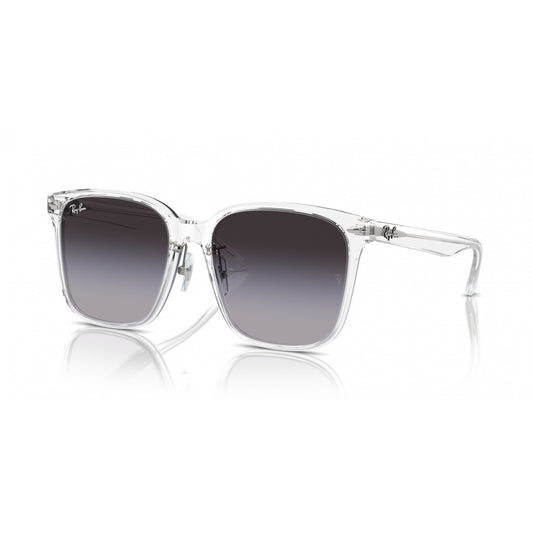Ray-Ban 0RB2206D