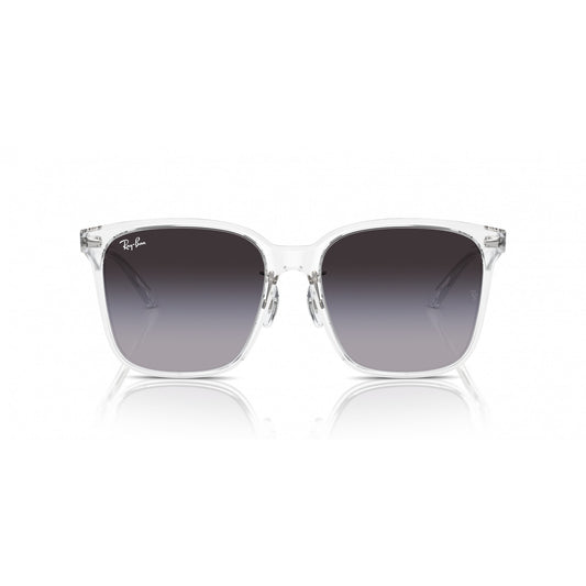 Ray-Ban 0RB2206D