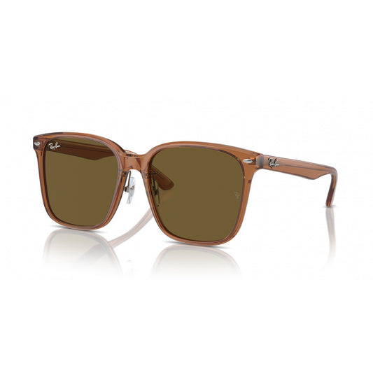 Ray-Ban 0RB2206D