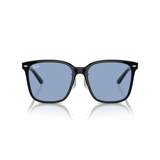 Ray-Ban 0RB2206D