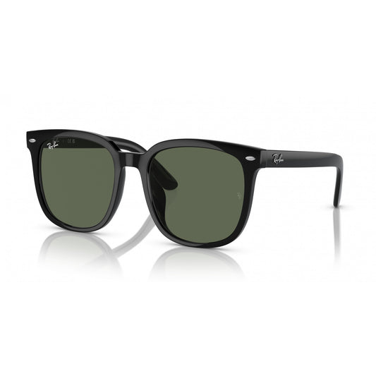 Ray-Ban 0RB4401D