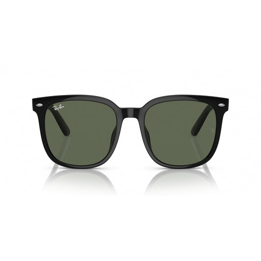 Ray-Ban 0RB4401D