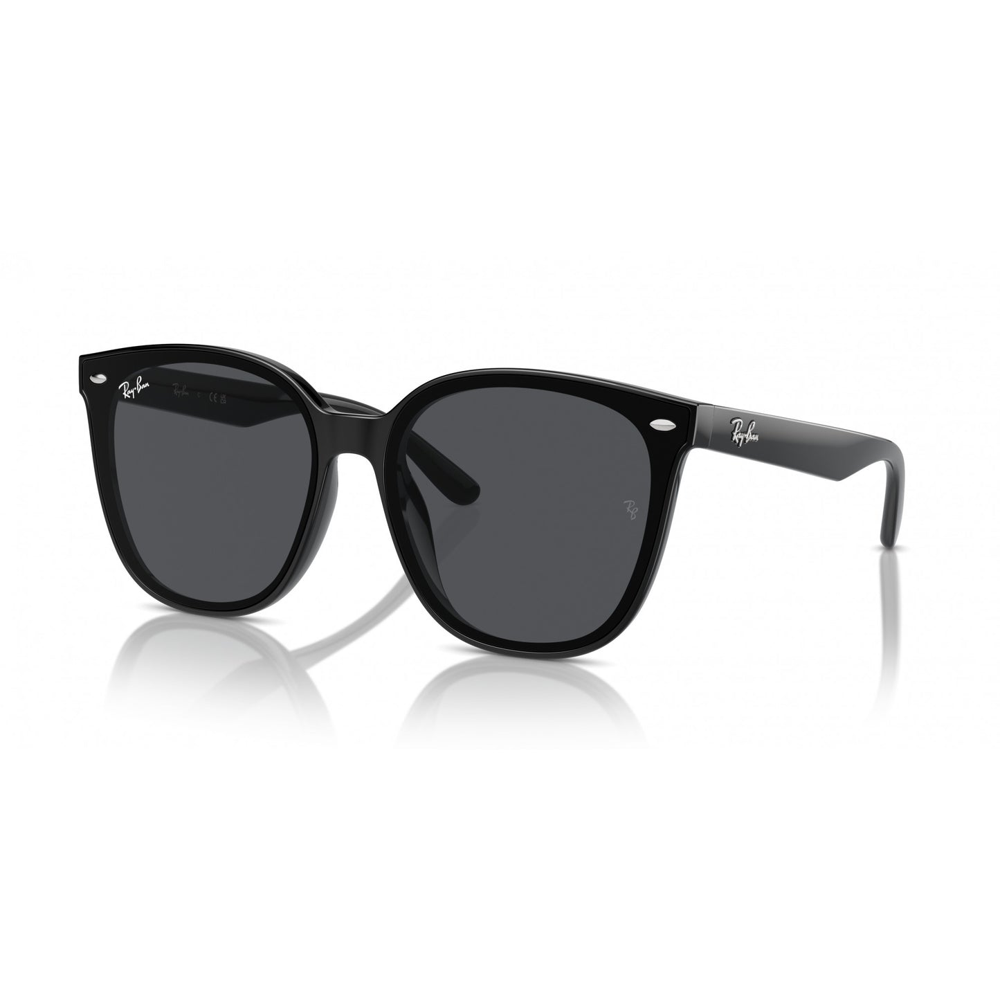 Ray-Ban 0RB4423D