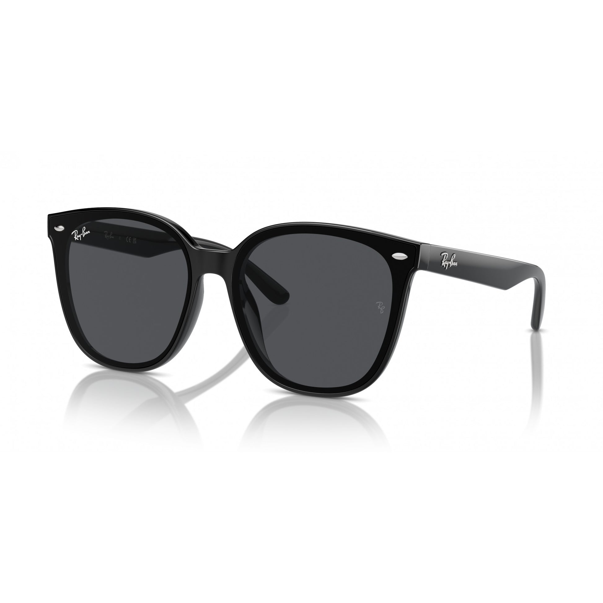 Ray-Ban 0RB4423D