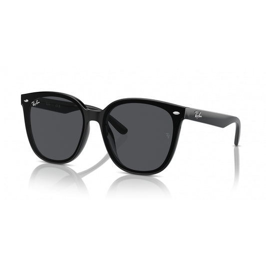Ray-Ban 0RB4423D