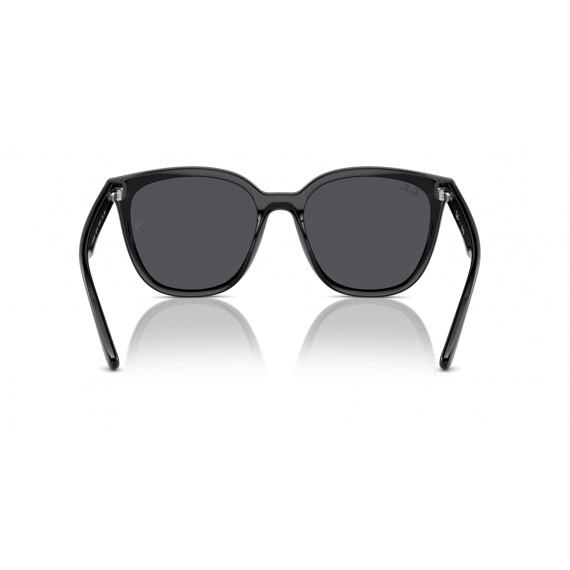Ray-Ban 0RB4423D