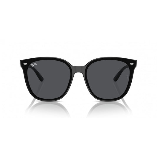 Ray-Ban 0RB4423D