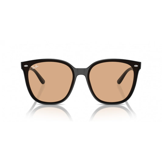 Ray-Ban 0RB4423D
