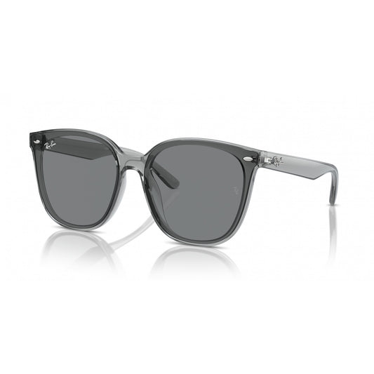 Ray-Ban 0RB4423D