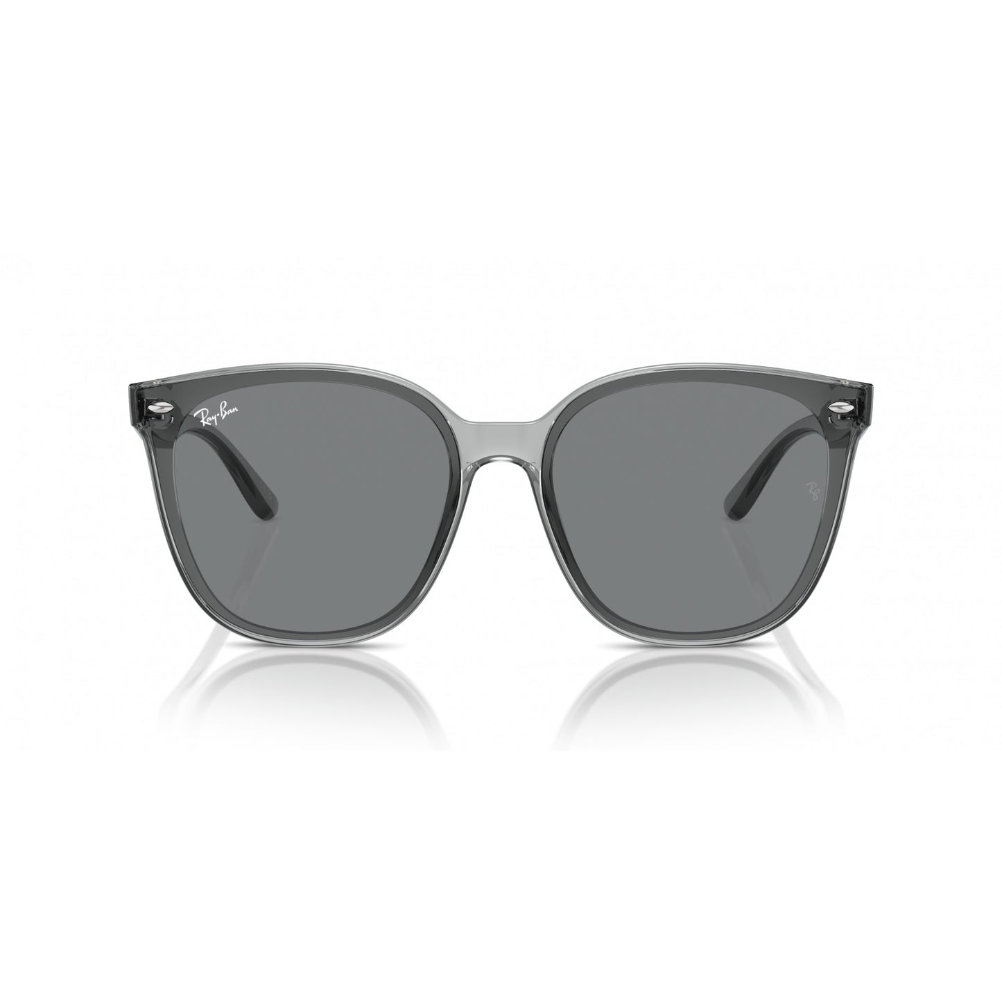 Ray-Ban 0RB4423D