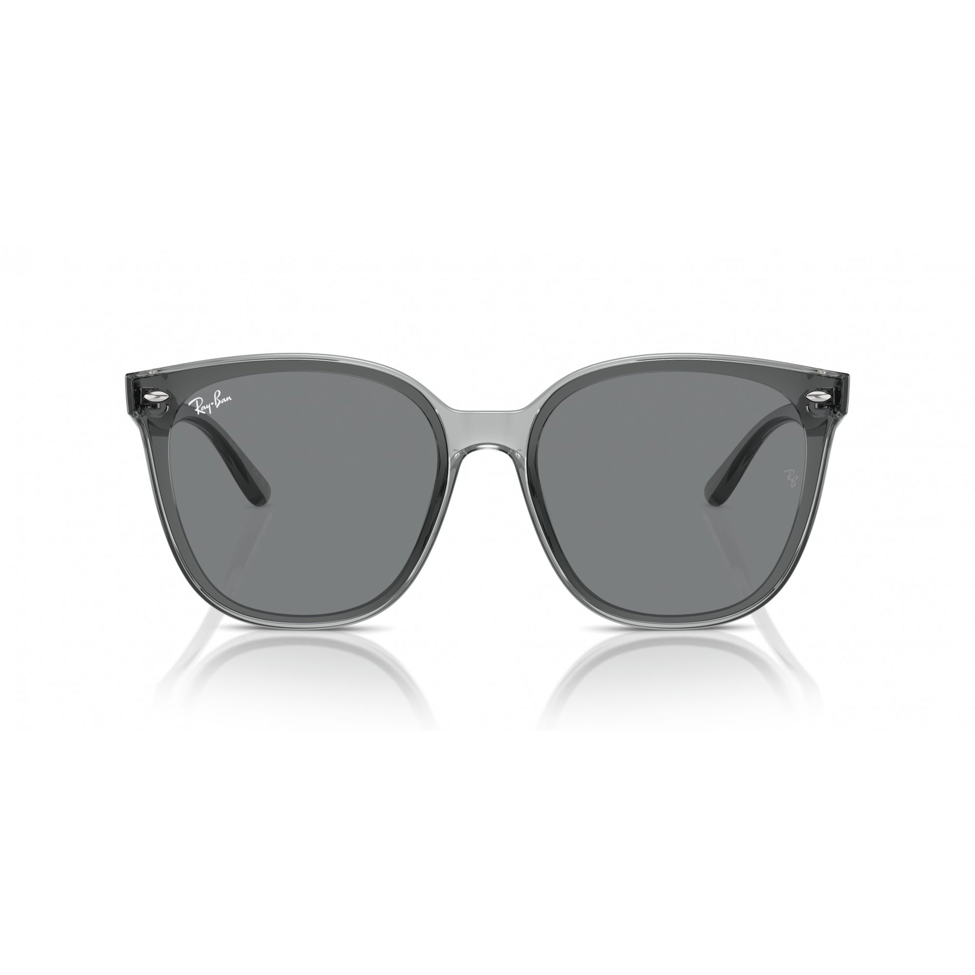 Ray-Ban 0RB4423D