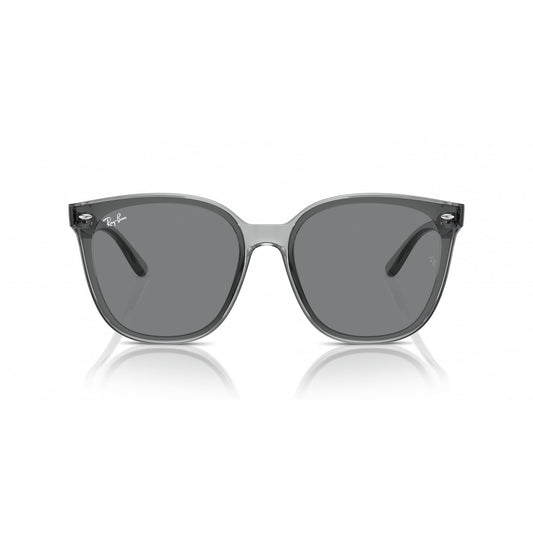 Ray-Ban 0RB4423D