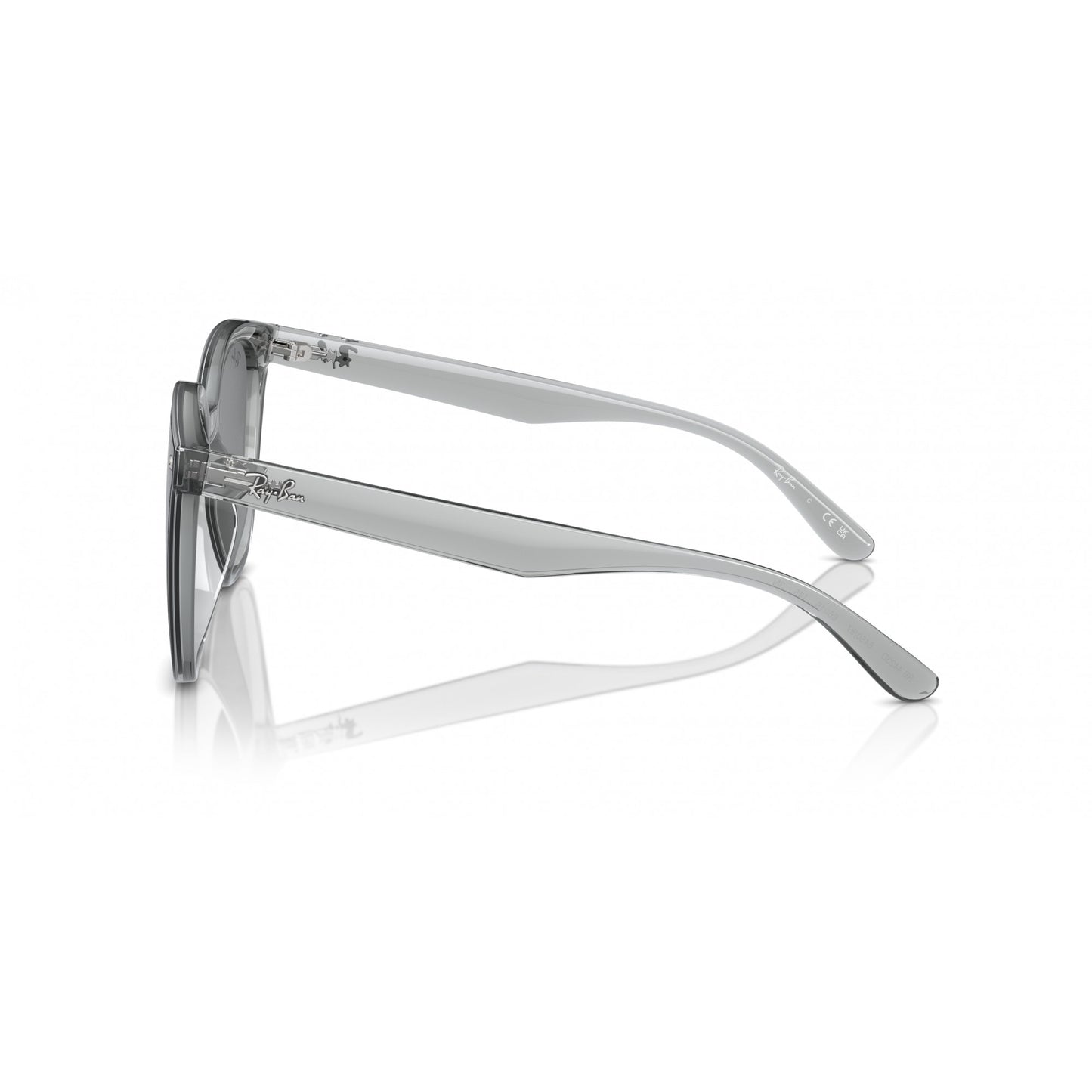 Ray-Ban 0RB4423D